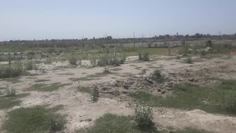 Plot for sell in jhajhar india