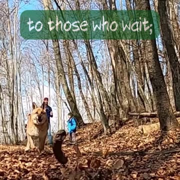 Success doesnt come ❤️