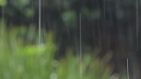 دعاء المطر 🌧☔️