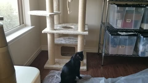 20240916 080314 Tux Launches Attack from Tree Fort
