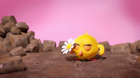 Where's Chicky - Flower Power