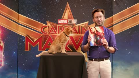 Goose the Cat gets ready for the Captain Marvel Red Carpet!