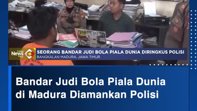 Daily News Report