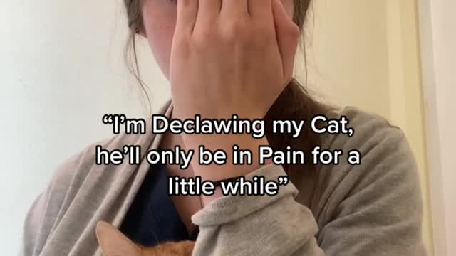 “I'm Declawing my Cat, he'll only be in Pain for a little while"