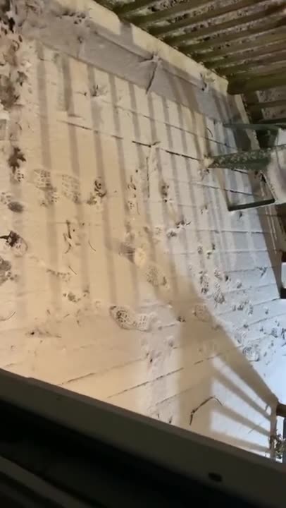 Neighbor Intentionally Putting Carbon Monoxide In My House