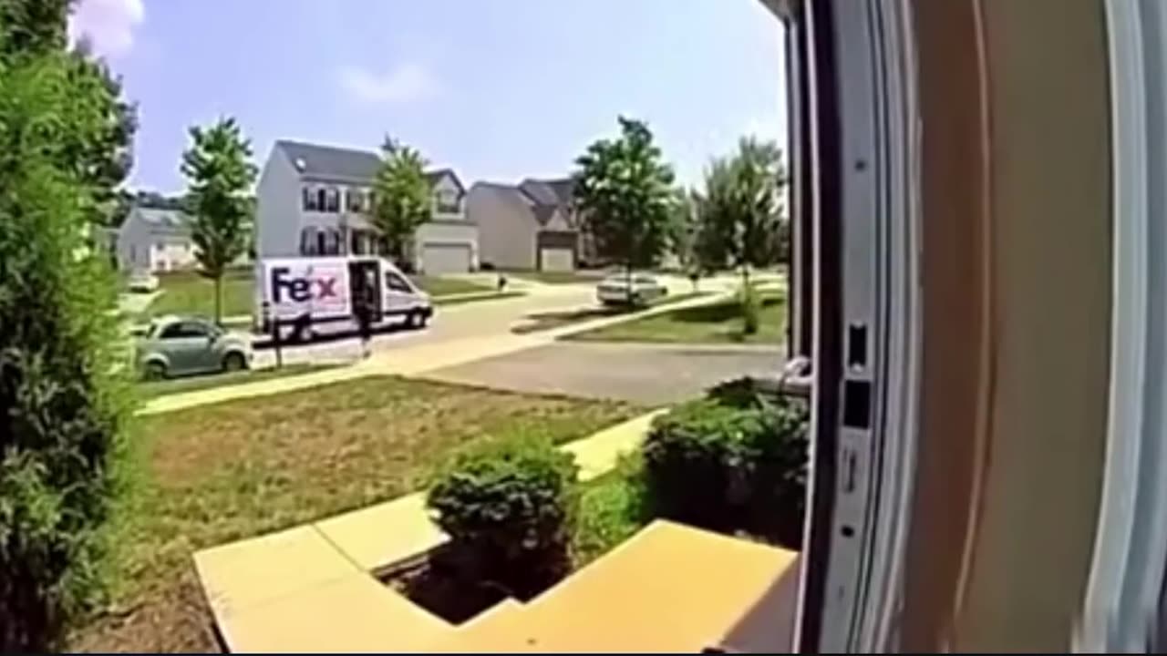 A FedEx driver is serious about his job