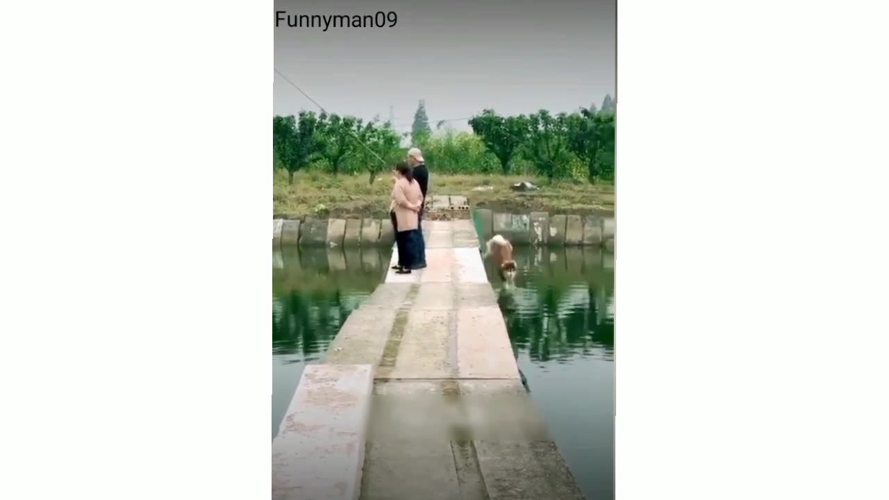 Funny Animal Videos That Are IMPOSSIBLE Not To Laugh At 😂
