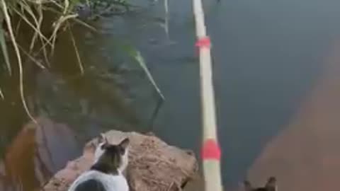 best fishing