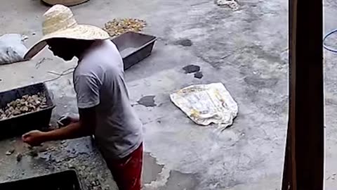 Snake Scares Working Brother