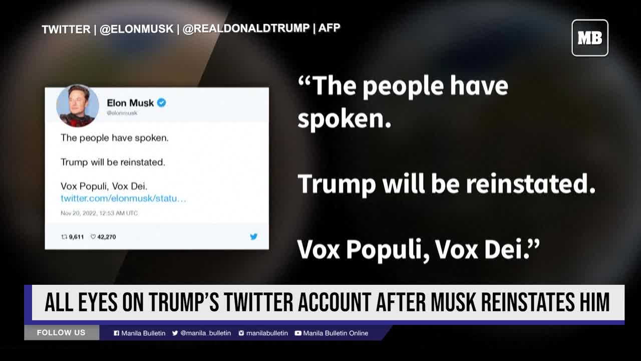 All eyes on Trump’s Twitter account after Musk reinstates him