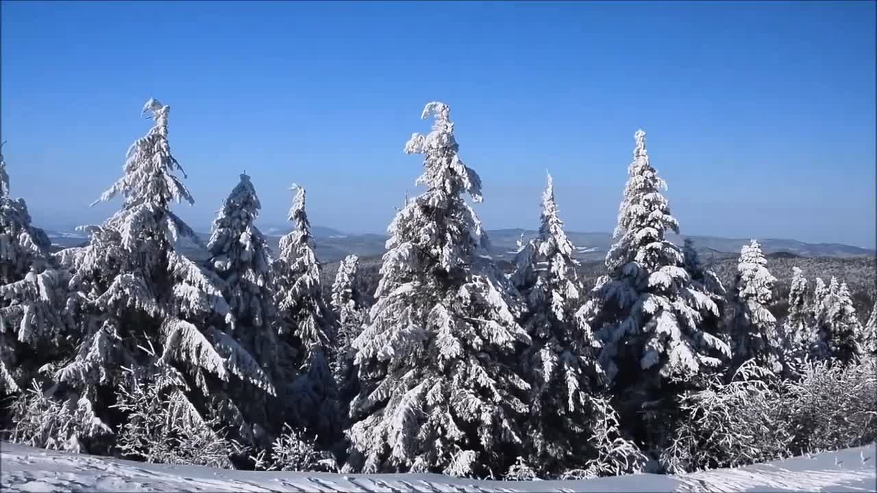 Very beautiful winter video.