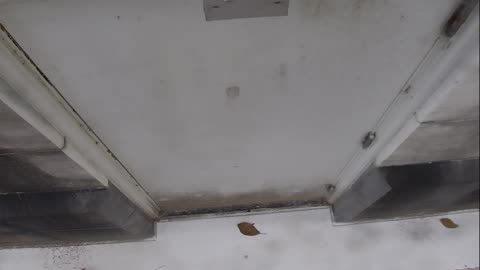 0921USCG00HT18Exterior_2021-01-06_13h20min01s867ms.mp4