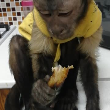 Вкусное куриное крылышко