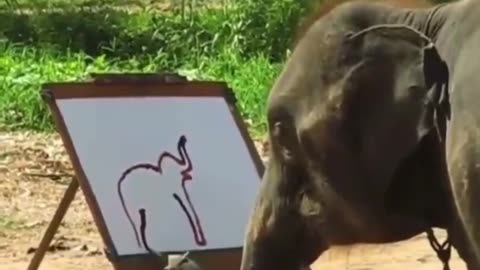 Artist Elephant