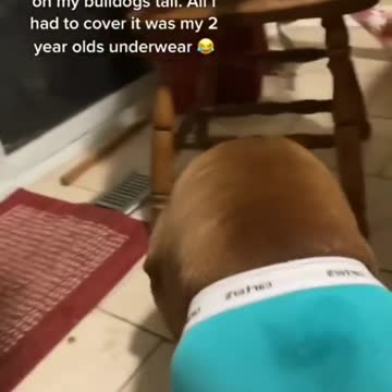 puttin on your jammies if need be or just underwear stay warm