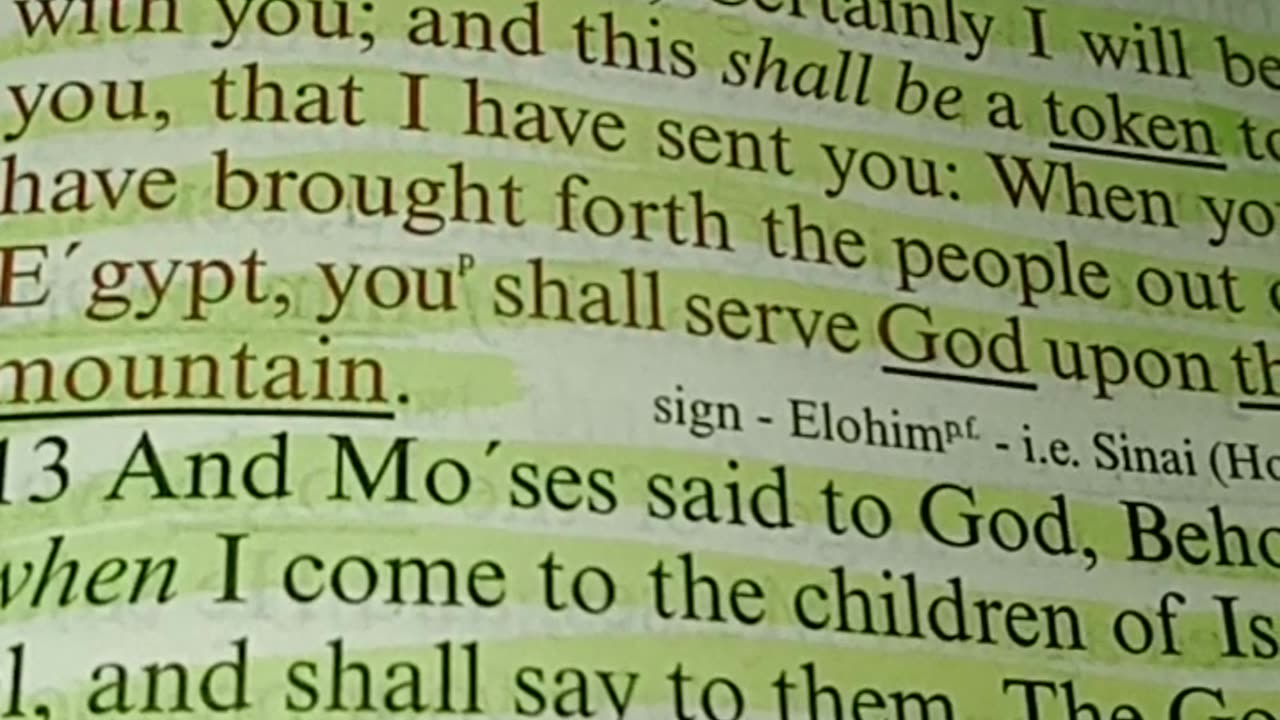 I AM HE, I AM THE LAMB 🐑 I AM. But has thou left me. Part 1