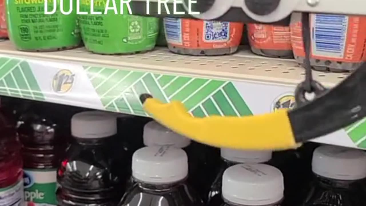 Fun Facts with Wences from the Dollar Tree