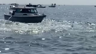 Breaching Whale Slams Boat