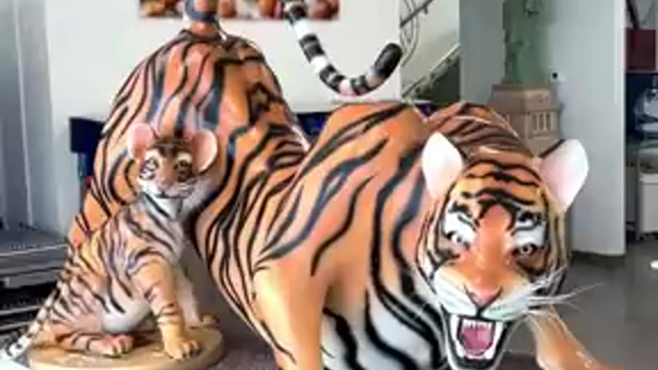 Chocolate Tiger!