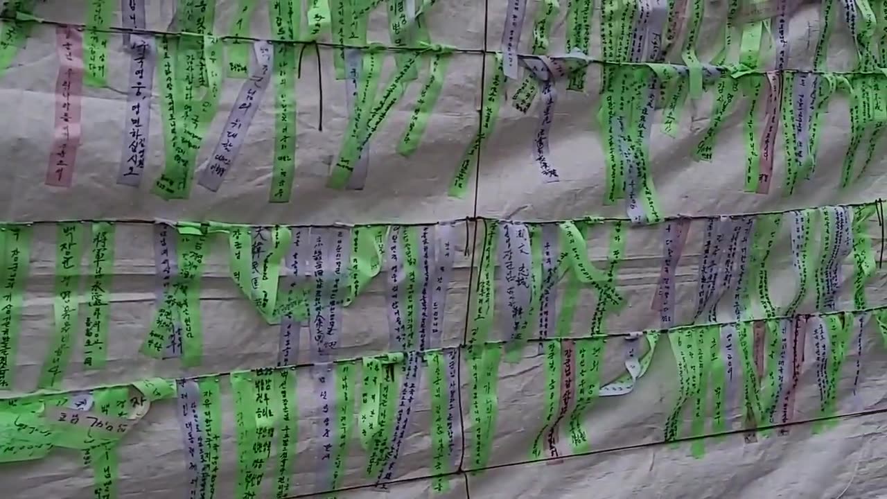 20200831_V3_S01(lnSWJ8JP8xk)광복절날 이른 아침 청소하며 분향객을 맞기 위해 준비하는 모습