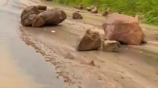 Cerrada la vía Girón-Lebrija por caída de rocas y troncos