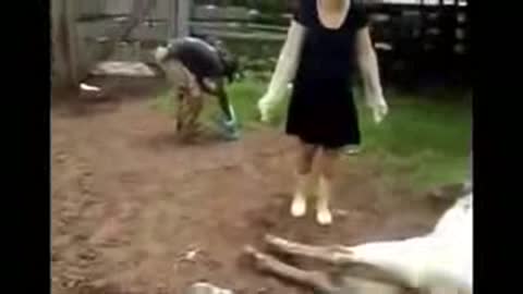 Funny accident😊😂