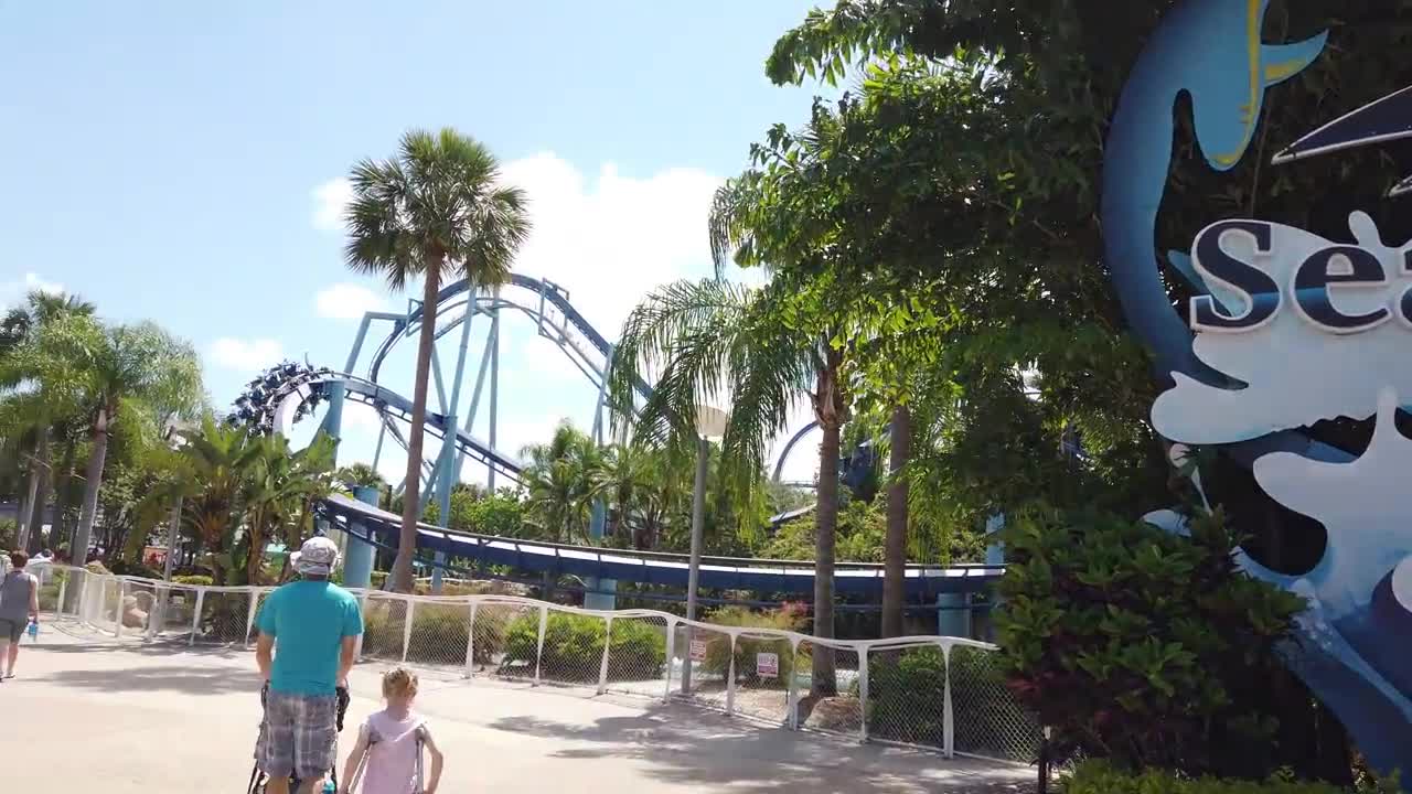 Top Things to Do at SeaWorld Orlando You Can’t Miss!