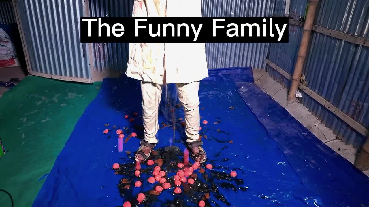 The Funny Family