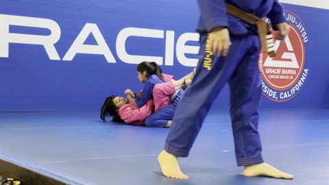 Gracie Barra GB 2