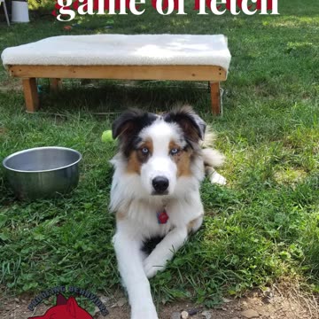 It's all in the game of Fetch part 2 clip 5