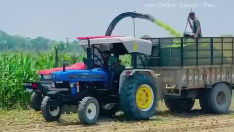 Punjabi farmers