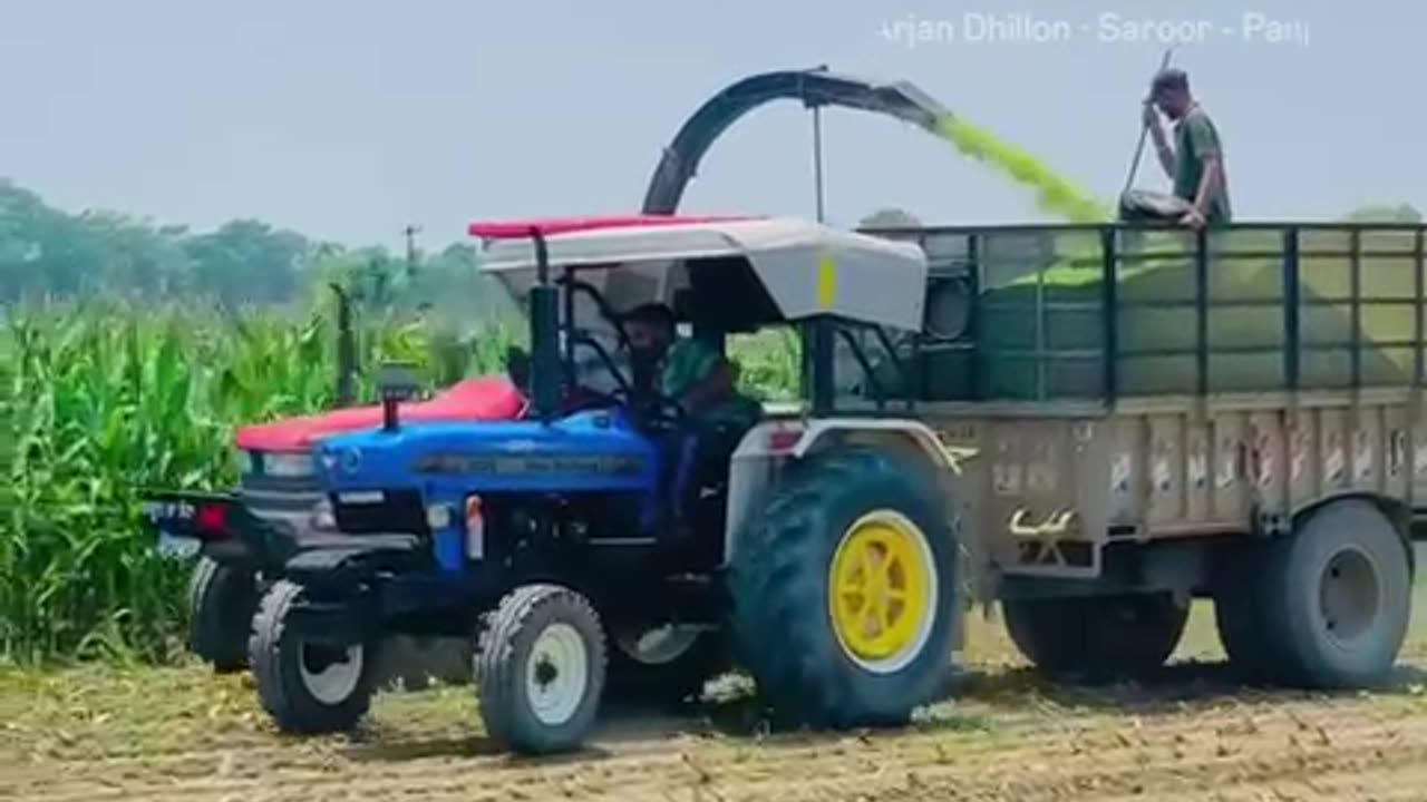 Punjabi farmers