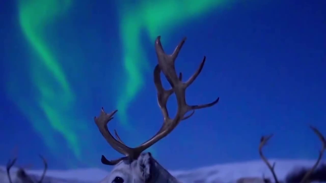 The beauty of Aurora at night