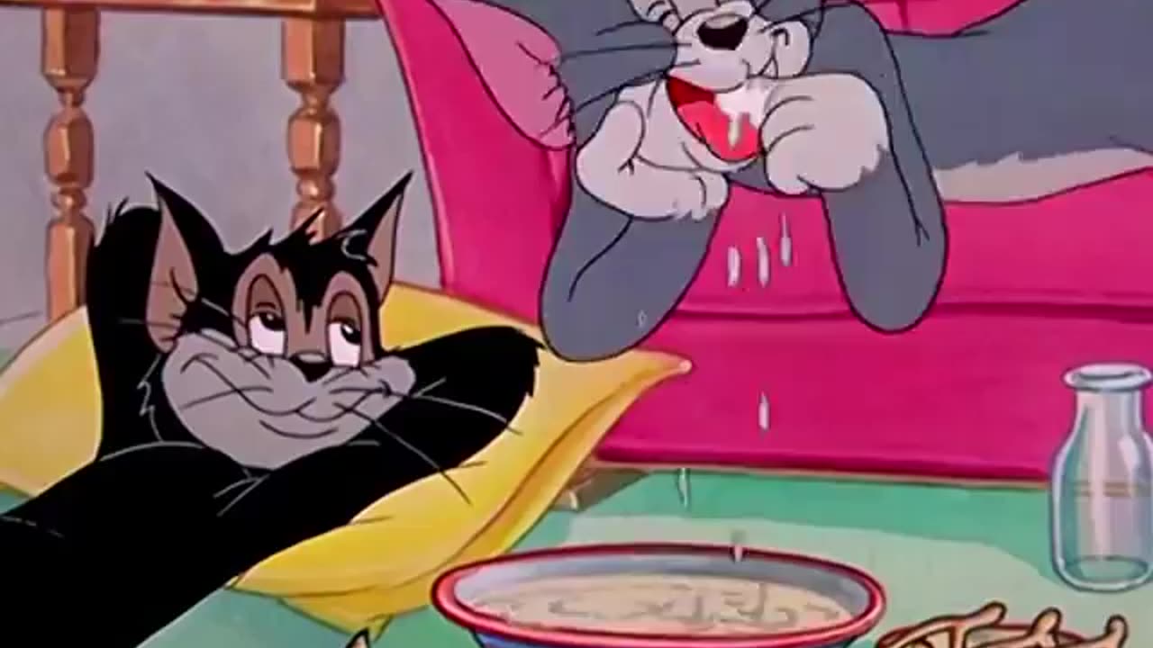 Tom and Jerry cartoon