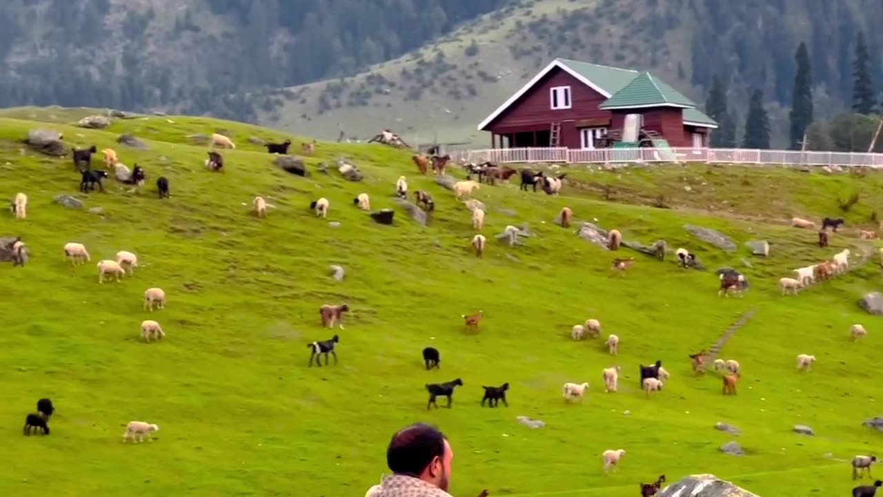 Beutiful Kashmir