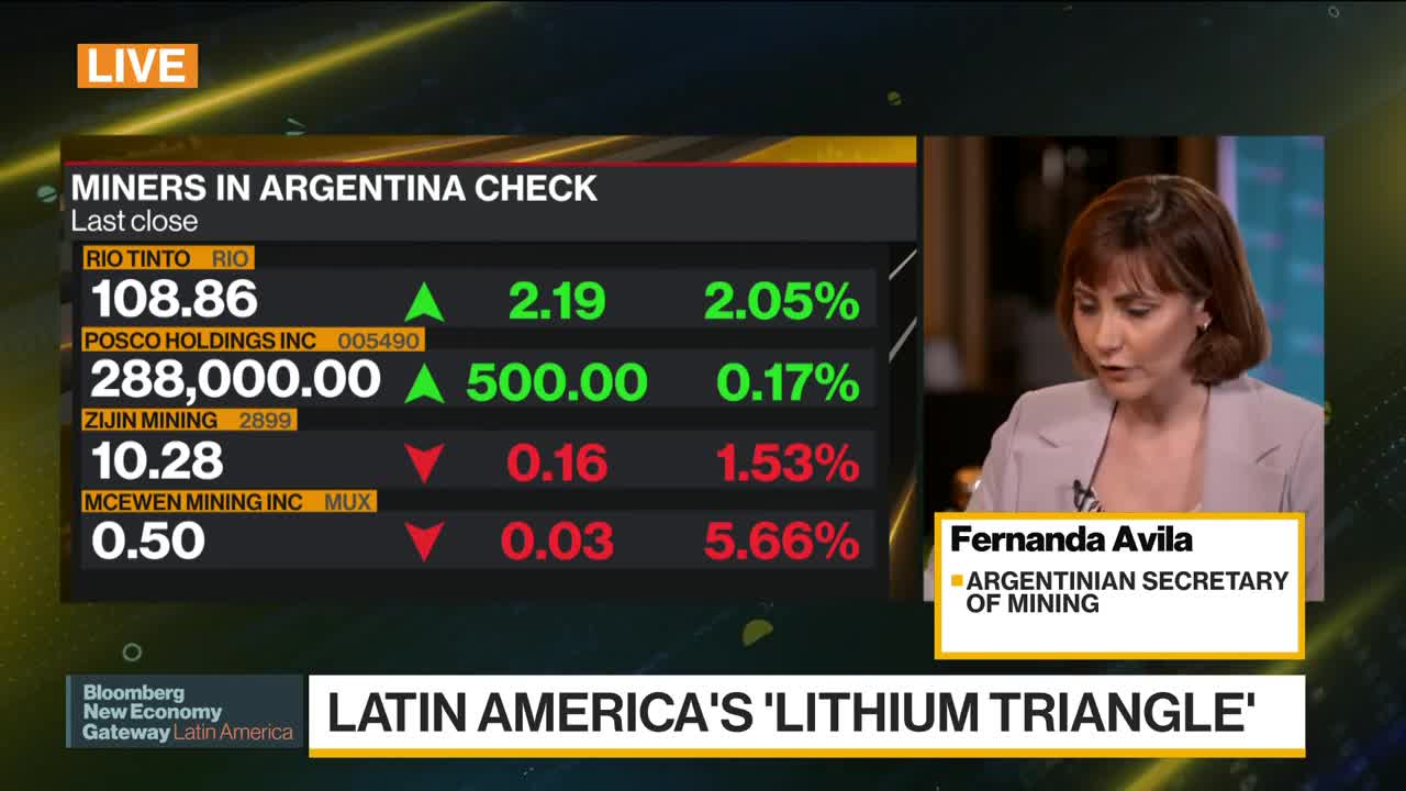 Argentina Trying to Foster Lithium, Copper Investments