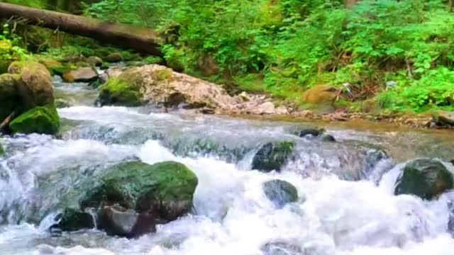 A beautiful little stream
