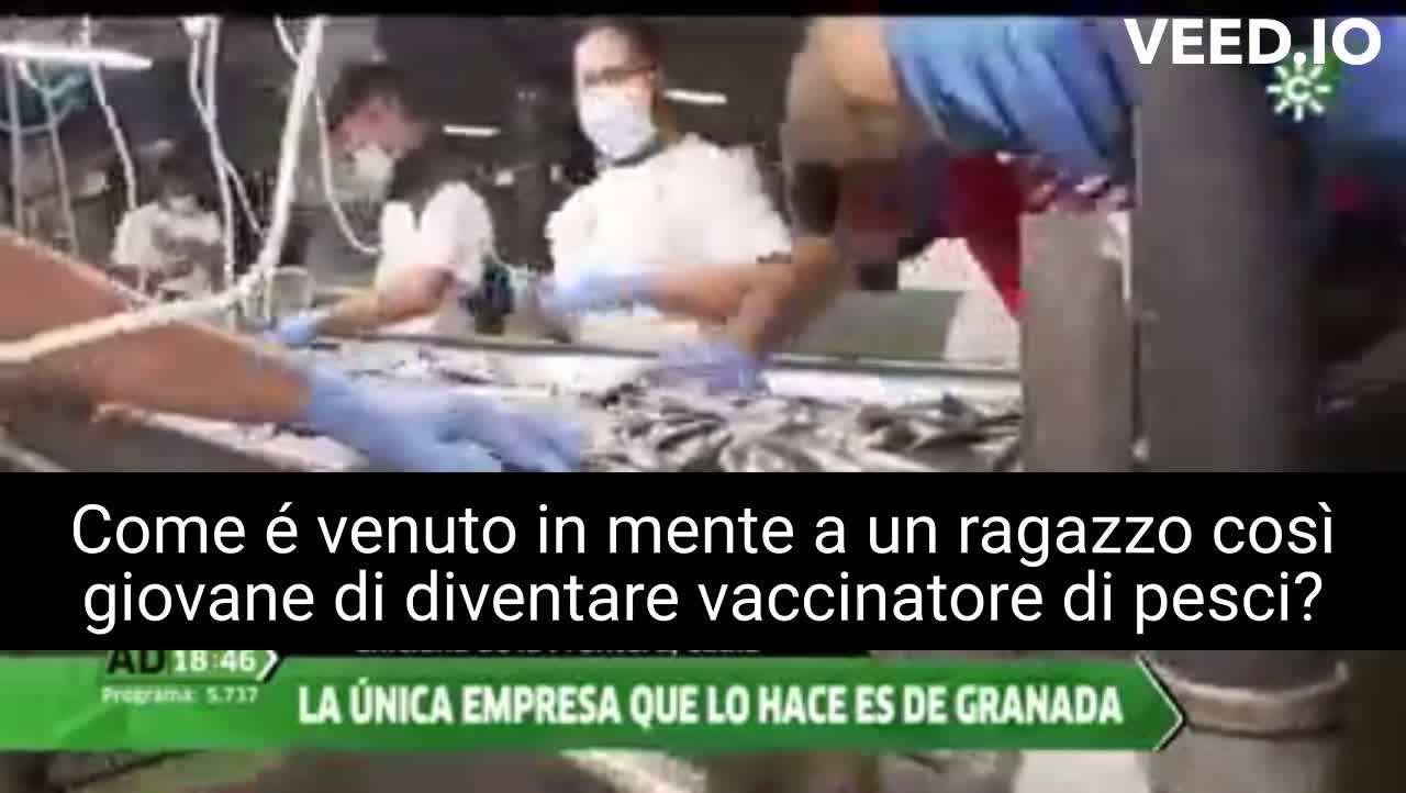 Vaccinatori di pesci