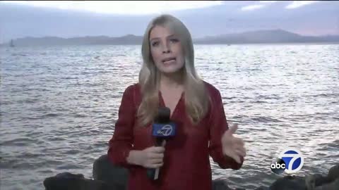 Marine Mammal Center studies whale at Angel Island in San Francisco