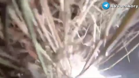 18+ Should have stayed home