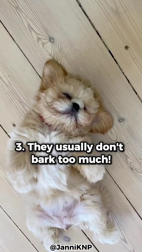 LivPure Dietary Supplement: Your Ally for Wellness and Vitality BUY NOW AND SAVE