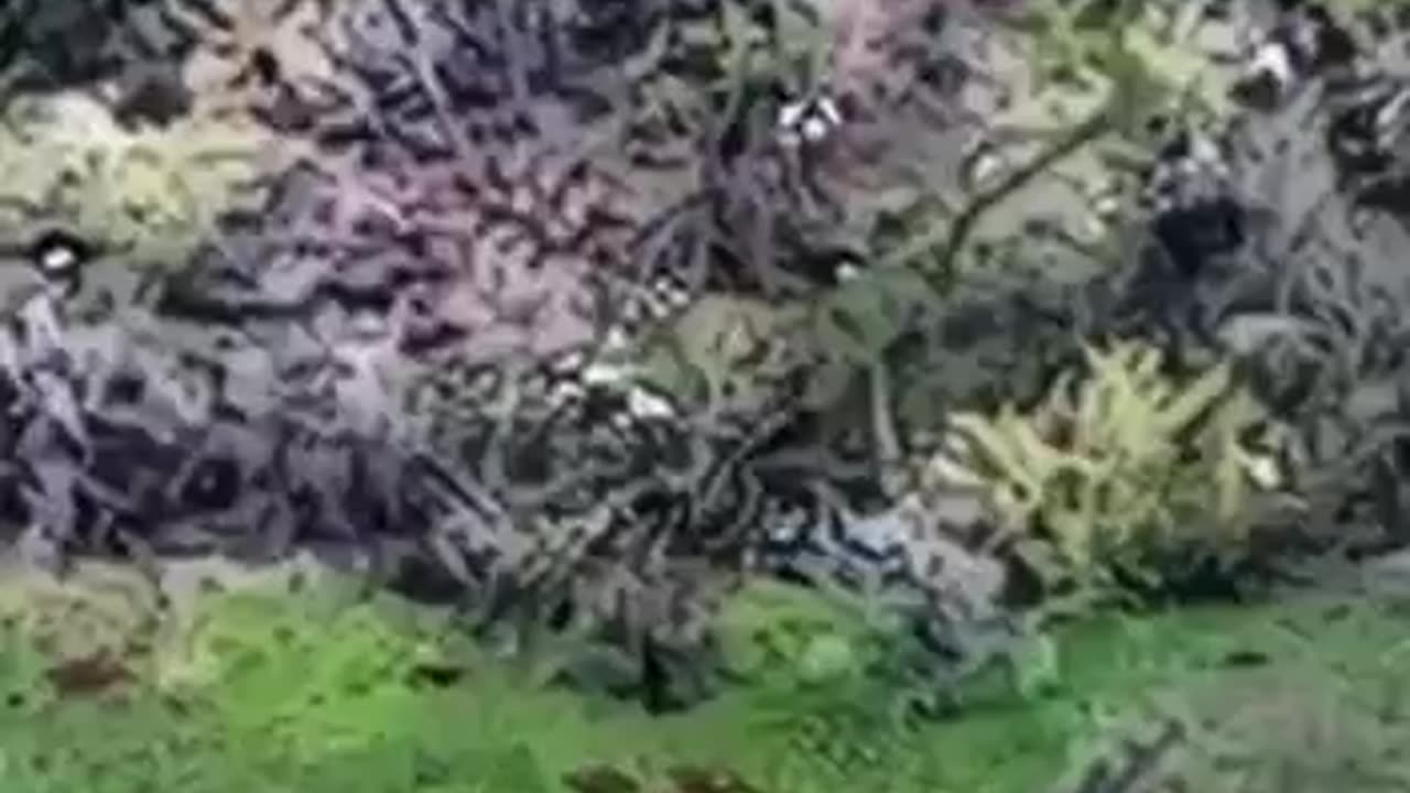 Howitzer D-30 3 OSHB works on invaders