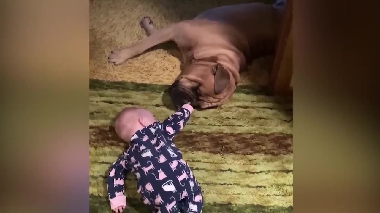 Funniest Baby Videos