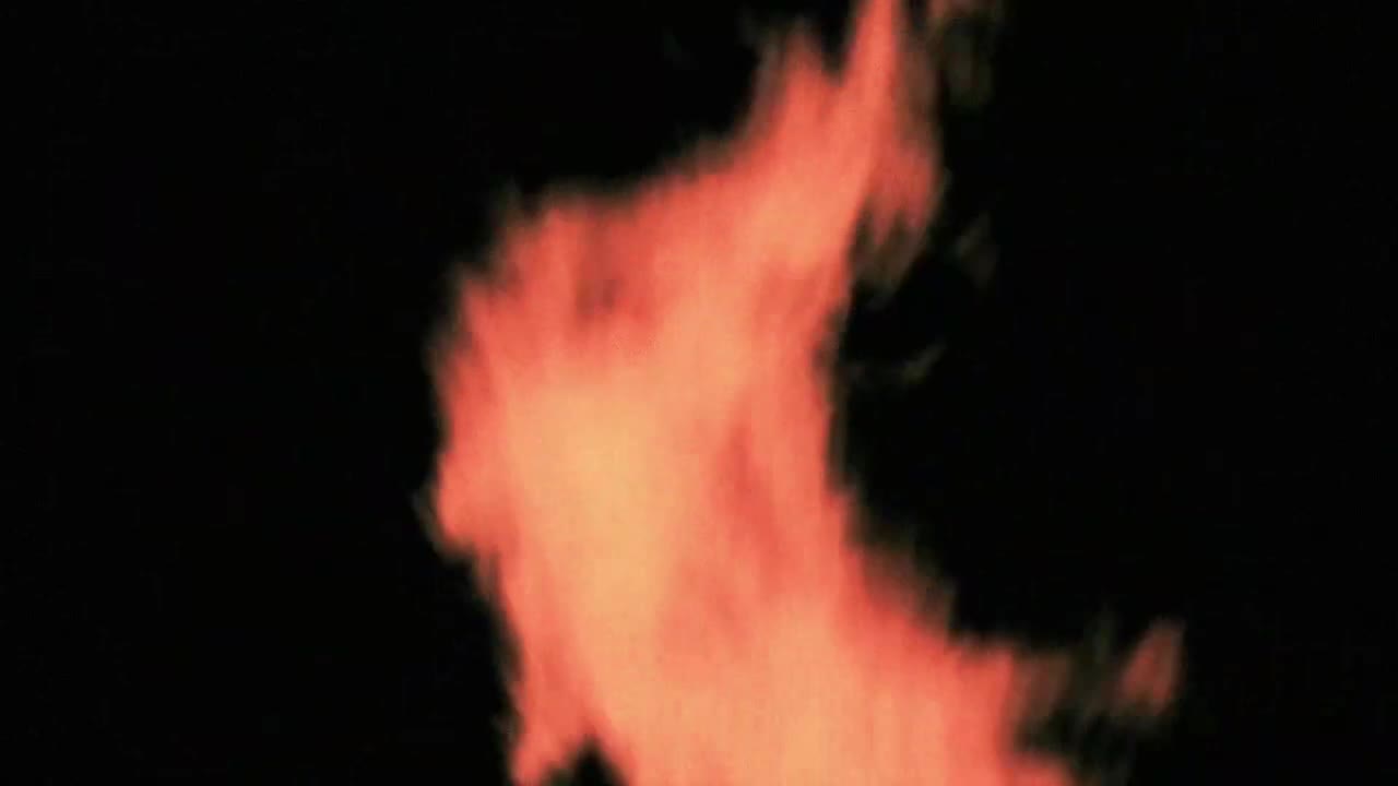 It Snarls and Palpates, Eternalizing Life as It Is