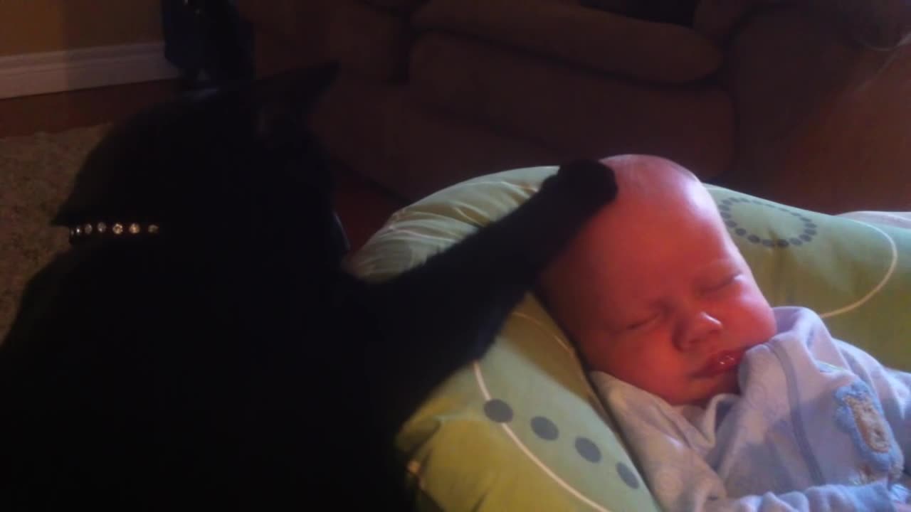 Cat soothing crying baby to sleep - too cute!