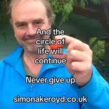 Simple method to plant tomato seeds