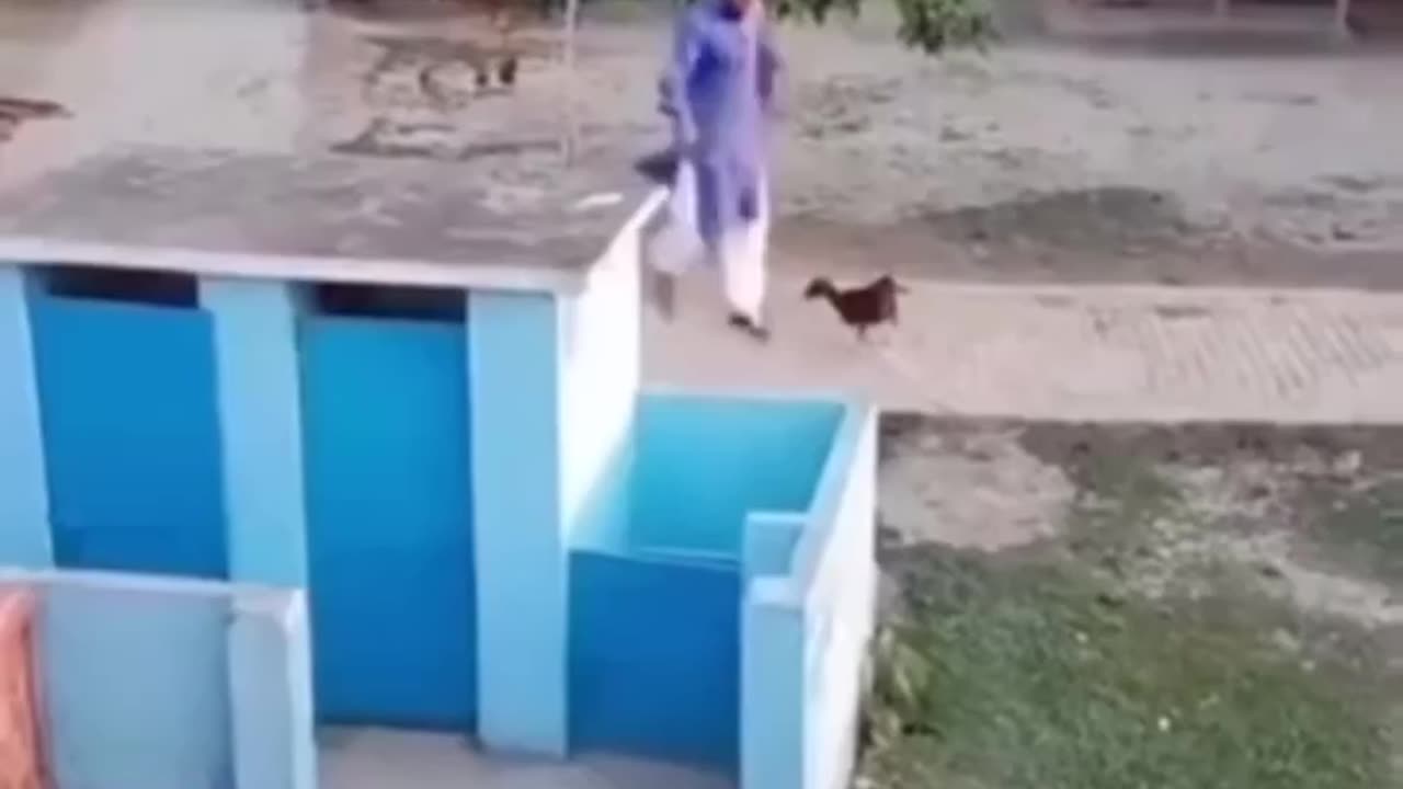 #funny