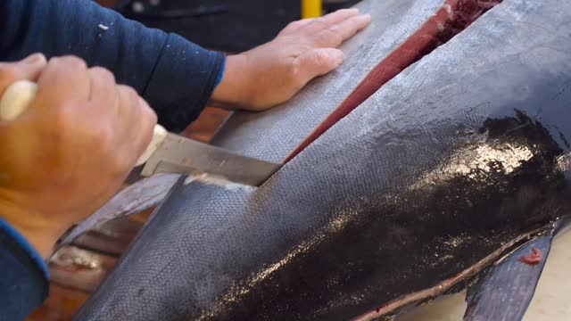 See the fish market and fish cut. Color fish, cut big fish.