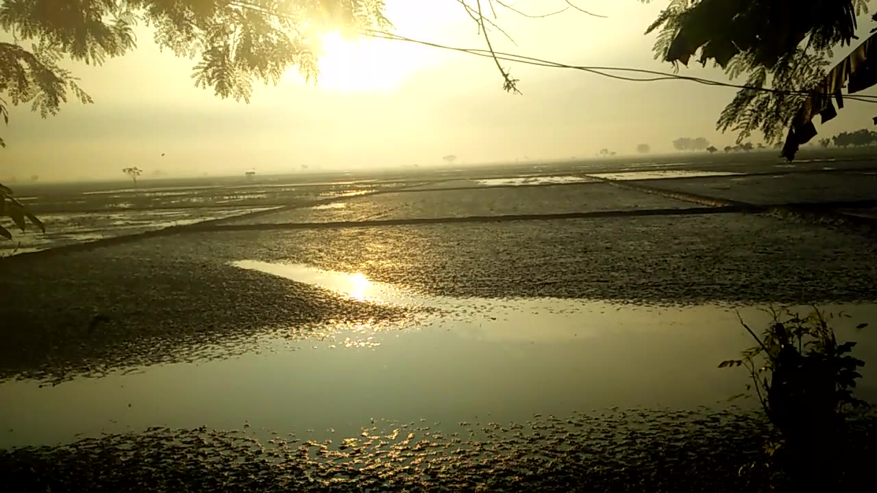 pemadangan sore hari di ruamh saya