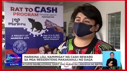 Marikina LGU, namimigayng cash rewardsa mga residenteng makahuhuli ng daga 。드